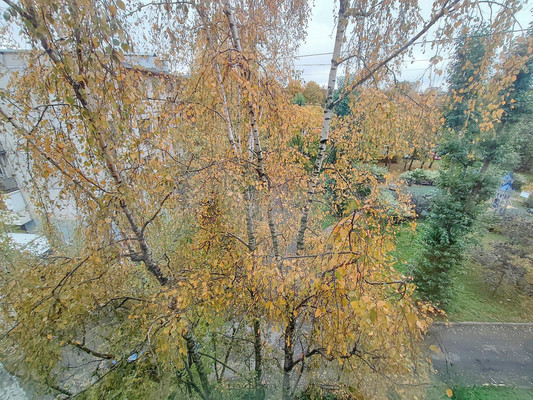 Продам однокомнатную (1-комн.) квартиру, Ольминского ул, 16А, Санкт-Петербург г