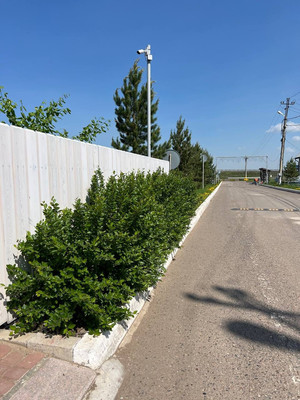 Продам дом, Баренцева ул, 13, Сухая Балка п, 0 км от города