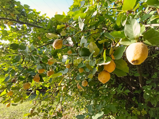 Продам дом, Кимовская ул, 191, Вперед с, 0 км от города