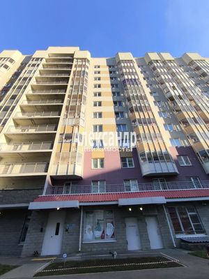 Продам однокомнатную (1-комн.) квартиру, Екатерининская ул, 12, Мурино п