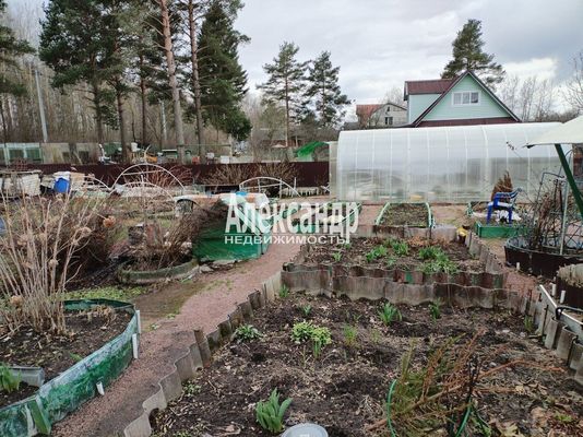 Продам участок 10 соток, СНТ, поселок &amp;quot;Восход&amp;quot;, Съездовская (Восход-Василеостровское тер линия, 46, Восход массив, 50 км от города