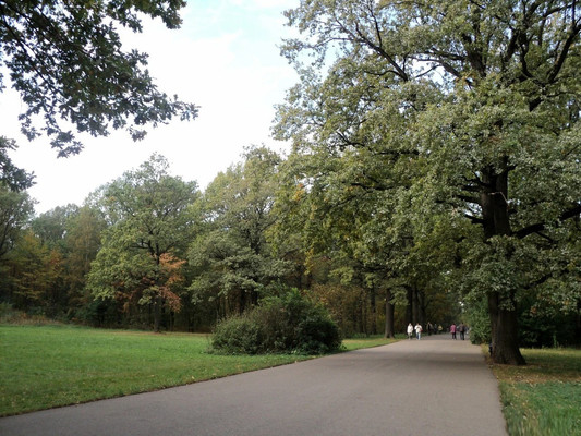 Сдам двухкомнатную (2-комн.) квартиру, Академика Комарова ул, 11Б, Москва г