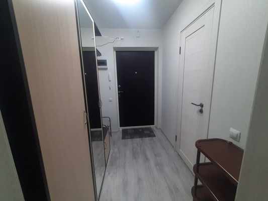 Сдам однокомнатную (1-комн.) квартиру, Екатерининская ул, 10, Мурино п