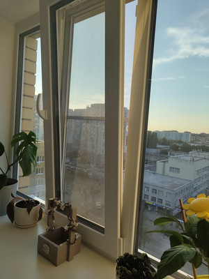 Продам трехкомнатную (3-комн.) квартиру, 45 стрелковой дивизии ул, 247и, Воронеж г