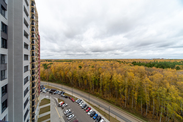 Продам однокомнатную (1-комн.) квартиру, Полковника Романова ул, 11, Нагорное п