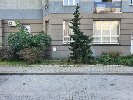 Сдам коммерческое помещение 225 м2, Еловая аллея ул, 63а, Калининград г