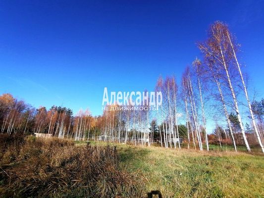 Продам участок 10 соток, Садоводство, ДНП Северное раздолье тер, 131 км от города