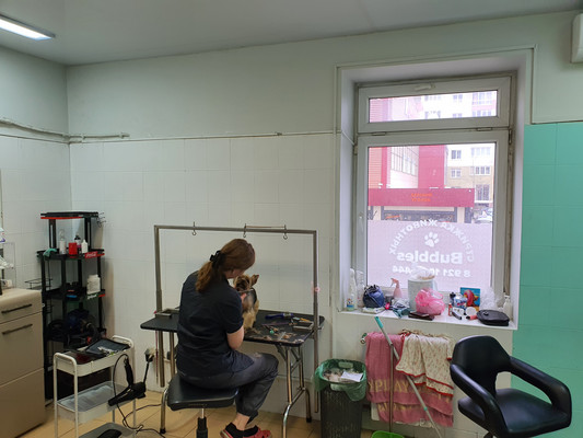 Продам коммерческое помещение 536 м2, Еловая аллея ул, 63Аа, Калининград г