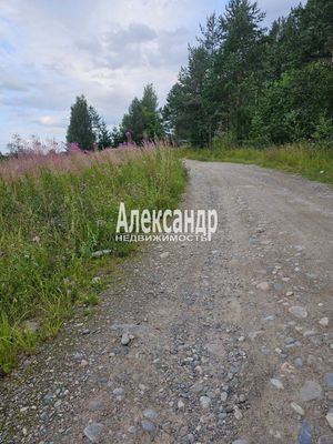 Продам дом, Нива п, 210 км от города