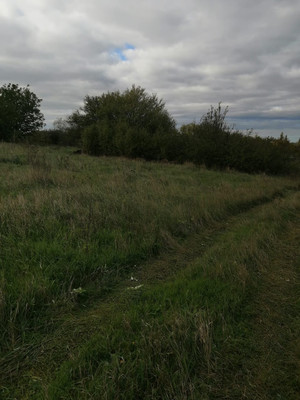 Продам участок 3,5 соток, Фермерское хоз., Лазурное тер. ТСН, Пятихатки п, 0 км от города