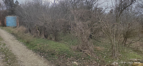 Продам участок 25 соток, ИЖС, Калинина ул, 13, Богатое с, 0 км от города