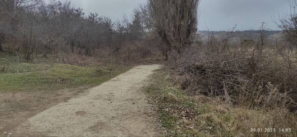 Продам участок 25 соток, ИЖС, Калинина ул, 13, Богатое с, 0 км от города