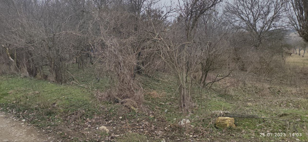 Продам участок 25 соток, ИЖС, Калинина ул, 13, Богатое с, 0 км от города