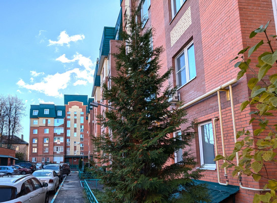 Продам однокомнатную (1-комн.) квартиру, Колхозная ул, 55к4, Услонь д
