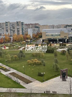 Сдам однокомнатную (1-комн.) квартиру, Бадаева ул, 8к2, Санкт-Петербург г