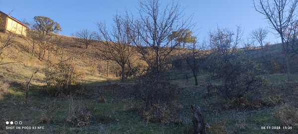 Продам участок 15 соток, ИЖС, Фросинлер ул, 46, Приветное с, 0 км от города