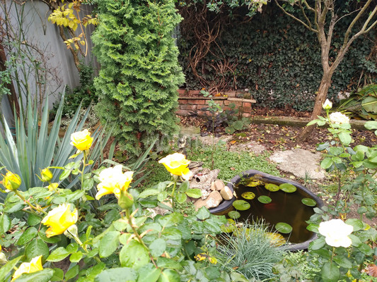 Продам двухкомнатную (2-комн.) квартиру, Ленина ул, 178, Ильский пгт