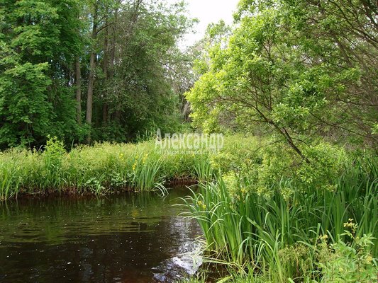 Продам участок 330 соток, ИЖС, Балтиец п, 34 км от города