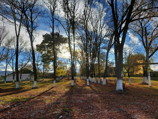 Продам дом, Центральная ул, 28, Широкая Балка п, 0 км от города