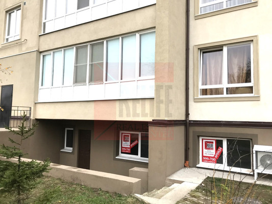 Продам коммерческое помещение 53,9 м2, Весенняя ул, 1, Васильково п