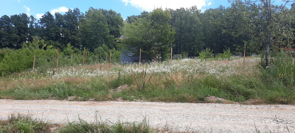 Продам участок 15 соток, ИЖС, Матросова ул, Азовская ст-ца, 0 км от города