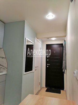 Продам долю в 1-комн. квартире, Моисеенко ул, д. 15-17, Санкт-Петербург г