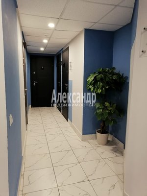 Продам долю в 1-комн. квартире, Моисеенко ул, д. 15-17, Санкт-Петербург г