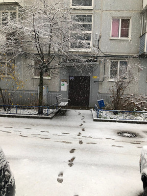 Продам двухкомнатную (2-комн.) квартиру, Парковая ул, 4к3, Великий Новгород г