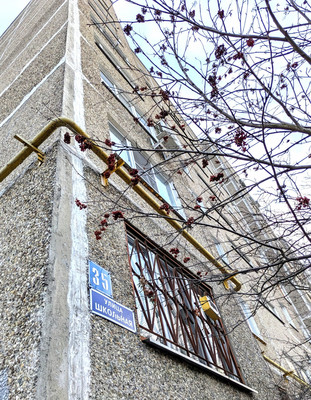 Продам двухкомнатную (2-комн.) квартиру, Школьная ул, 35, Быково п