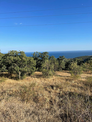 Продам участок 6,25 соток, Восточный мкр, Лучистое с, 0 км от города