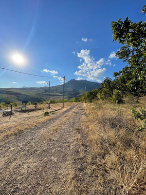 Продам участок 6,25 соток, Восточный мкр, Лучистое с, 0 км от города