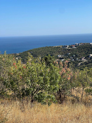 Продам участок 6,25 соток, Восточный мкр, Лучистое с, 0 км от города