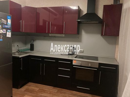 Сдам однокомнатную (1-комн.) квартиру, Коллонтай ул, 5/1, Санкт-Петербург г