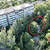 Продам участок 4 соток, Сеченова ул, 13, Ялта г, 0 км от города