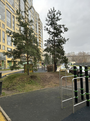 Продам однокомнатную (1-комн.) квартиру, Александровской Фермы пр-кт, 8, Санкт-Петербург г