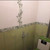 Продам двухкомнатную (2-комн.) квартиру, Калараша ул, 18, Туапсе г