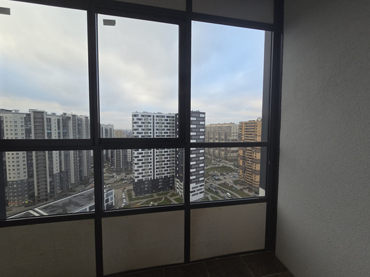 Сдам однокомнатную (1-комн.) квартиру, Русановская ул, 20к3, Санкт-Петербург г