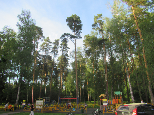 Продам однокомнатную (1-комн.) квартиру, Бор тер, 7, Одинцово д