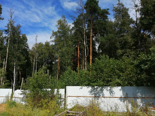 Продам участок 12 соток, Фермерское хоз., Лесная ул, Медвежьи Озера д, 0 км от города