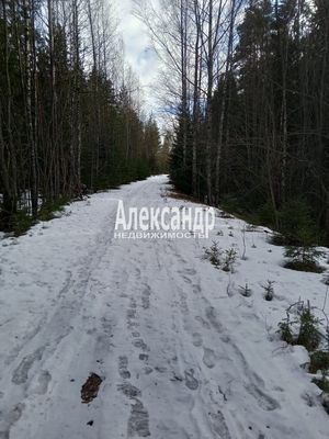 Продам участок 21 305 соток, ЛПХ, поселок Собственность, Королевская дорога ул, Балтиец п, 185 км от города