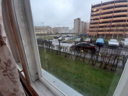 Сдам однокомнатную (1-комн.) квартиру, Бадаева ул, 8к1, Санкт-Петербург г