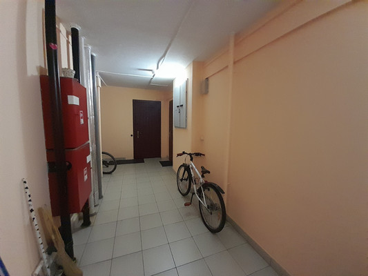 Сдам однокомнатную (1-комн.) квартиру, Бадаева ул, 8к1, Санкт-Петербург г
