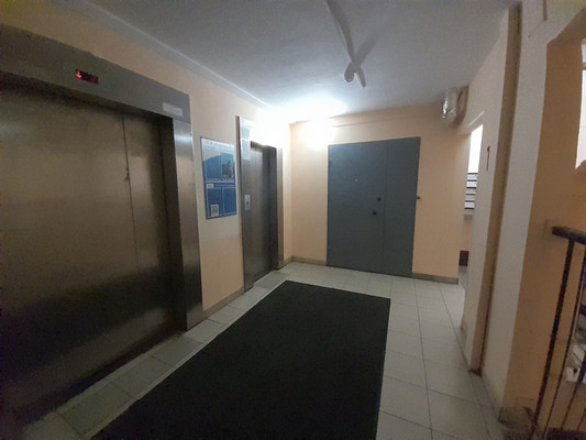 Сдам однокомнатную (1-комн.) квартиру, Бадаева ул, 8к1, Санкт-Петербург г