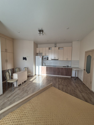 Сдам однокомнатную (1-комн.) квартиру, Мира пр-кт, 300к2, Южно-Сахалинск г