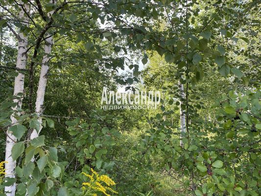 Продам участок 10 соток, Садоводство, Эрудит снт, Черкасово п, 135 км от города