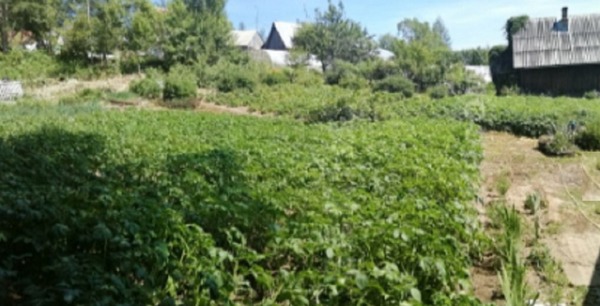 Продам дачу, Истоки тер. СНТ, Южно-Сахалинск г, 0 км от города