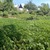 Продам дачу, Истоки тер. СНТ, Южно-Сахалинск г, 0 км от города