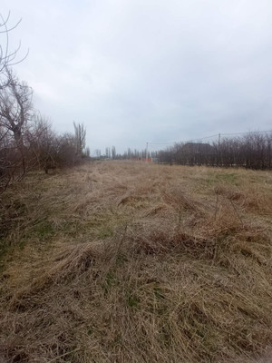 Продам участок 6,7 соток, Школьная ул, Ароматное с, 0 км от города