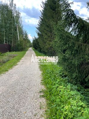 Продам дачу в поселке Малахит 5, 11-я (Контакт тер. СНТ) линия, 122, Новинка массив, 100 км от города