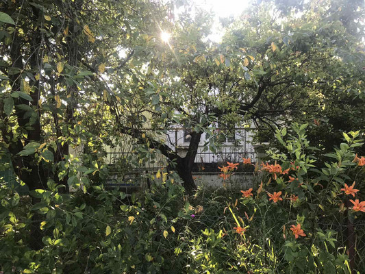 Продам дом, Сосновая ул, 13, Симферополь г, 0 км от города